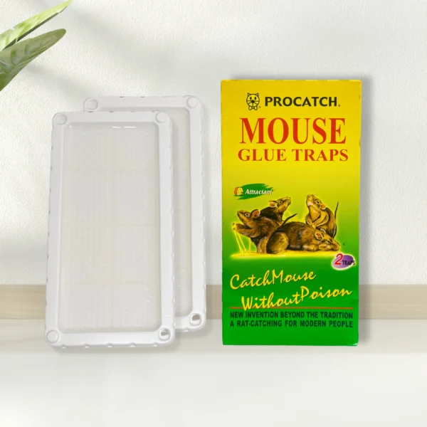R-106 - Glue Trap